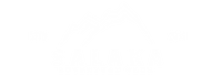 Salaka Watch