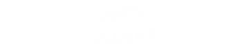 Salaka Watch